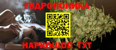 Альфа ПВП Балаково