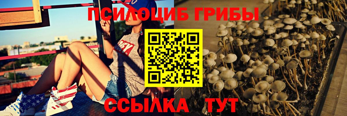 Галлюциногенные грибы мицелий  Галлюциногенные грибы прущие грибы  где продают наркотики  Вход с VPN  Белогорск 